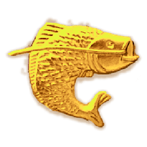 Fish Game
